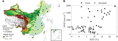 Eddy covariance measurement-based differences in annual evapotranspiration between forests and grasslands in China